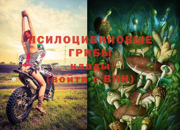 спиды Волосово