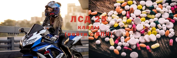 спиды Волосово